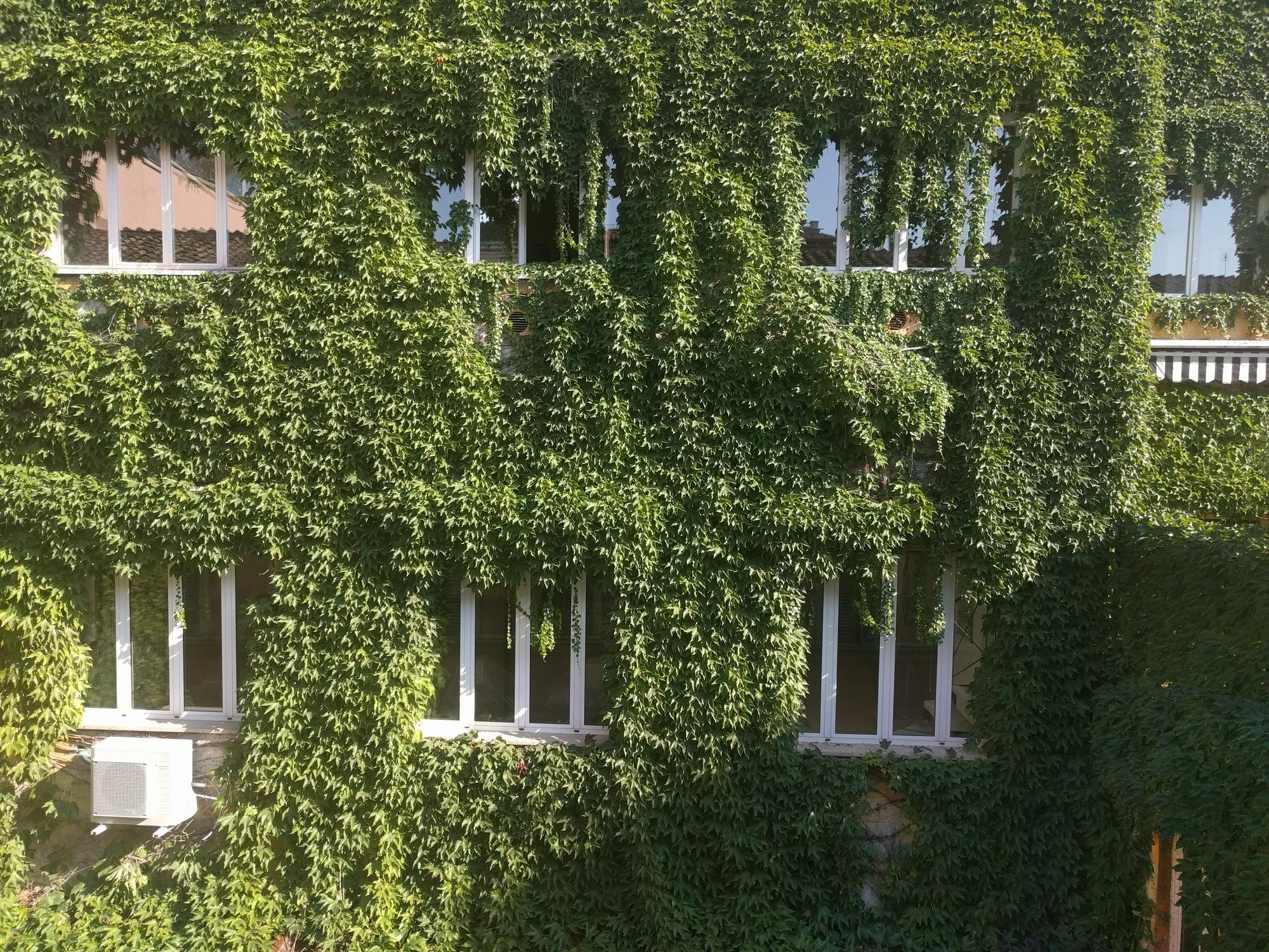 Hotel San Carlo Rome Exterior photo